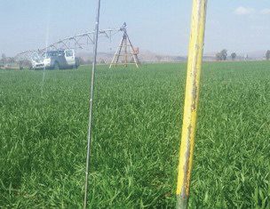 OMNISAP®-patroonidentifikasie: Pasgemaakte aanbevelings vir uitdagings op die plaas.