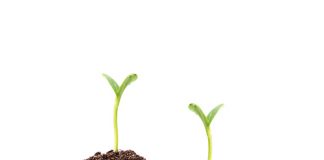 The ins and outs of farming tax