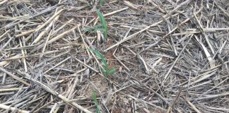 Benefits of farming in partnership with nature