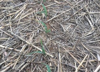Benefits of farming in partnership with nature