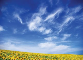 Span surplusjare in vir beter risikobestuur