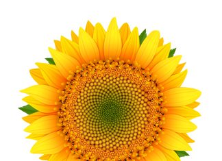 Span surplusjare in vir beter risikobestuur