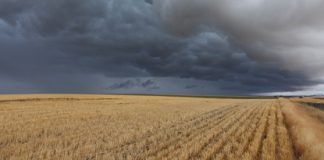 Só lyk klimaatscenario vir volgende vyf jaar