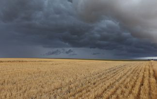 Só lyk klimaatscenario vir volgende vyf jaar