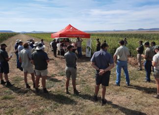 Dié boeredae ’n vertoonvenster vir bewaringslandbou