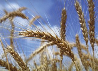 Vrywillige heffings stadig uit die blokke