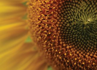 Afname in hektare skets somber prentjie