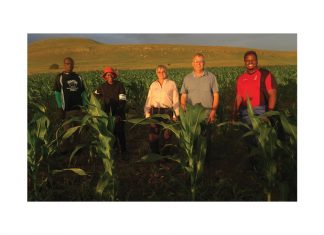 Grain Research Programme: plans and progress