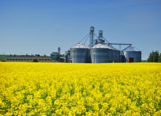 Begrotings vir koring en kanolavertakkings bestudeer