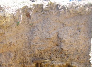 Grondopnames – ’n hoeksteen van presisieboerdery