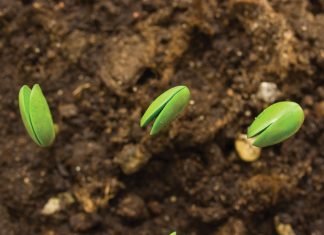 Hoe beter jy jou grond ken, hoe groter die opbrengs