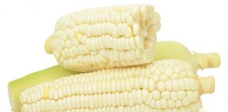 Grain market overview