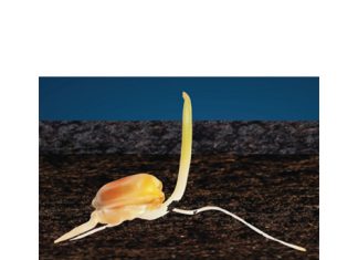 Omnia se humate bevorder grondgesondheid