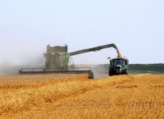 Stroop tydig, vinnig en akkuraat om wins te verhoog
