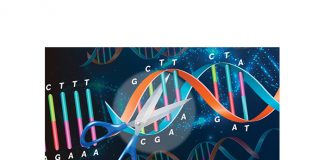 Diverse approaches to GE could threaten food security