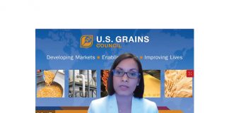 IGC discusses risks and resilience post COVID-19