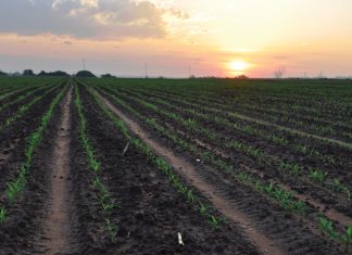 Elke pit ’n belegging in uiteindelike opbrengs