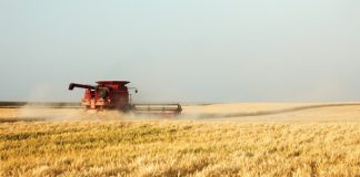 Maak goeie finansiële besluite met meganisasie-aankope