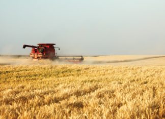 Maak goeie finansiële besluite met meganisasie-aankope