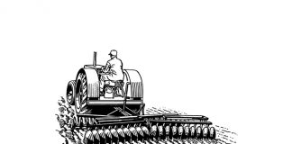 Structural changes in SA machinery market help keep producers competitive