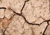 Climate resilience consortium – essential for resilient farming