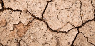 Climate resilience consortium – essential for resilient farming