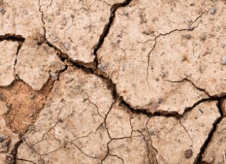 Climate resilience consortium – essential for resilient farming