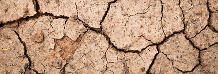 Climate resilience consortium – essential for resilient farming