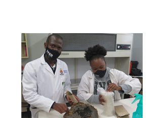 A plan to strengthen the research workforce