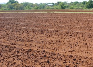 GRAAN SA se voorstelle by grondkomitee ingedien