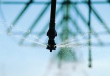 Hoeveel kos dit om ‘n mm te besproei?