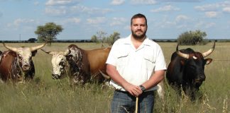 Bewaringsboerdery: sleutel tot besparing en wins