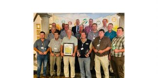 Producers grow for gold