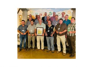 Producers grow for gold