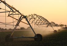 Produksiekoste: Gróót prysstygings in insette op pad