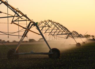 Produksiekoste: Gróót prysstygings in insette op pad