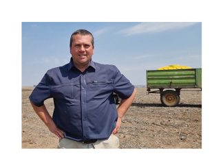 Fyn beplanning bring dubbelgoud