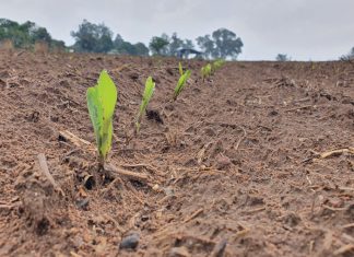 Price increases a great concern