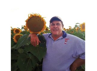 Doen dinge betyds, maar nooit halsoorkop nie