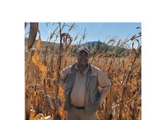 Success for former taxi driver