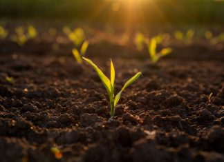 Input costs pose a threat to profitability