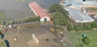 Impak van baie reën op graanoeste ondersoek