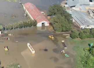 Impak van baie reën op graanoeste ondersoek
