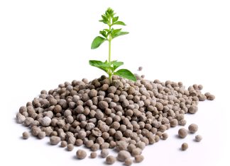 Kunsmispryse se neus wys effens afwaarts Waarom is kunsmispryse so hoog?