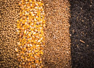 Terughousaad se werklike koste