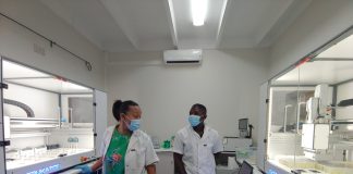 Groot deurbraak vir navorsers in koringgenetika