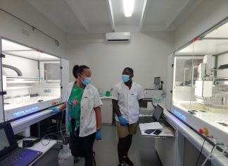 Groot deurbraak vir navorsers in koringgenetika