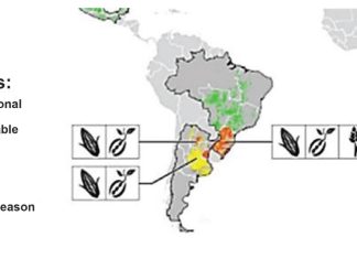 What is driving current commodity market movements?