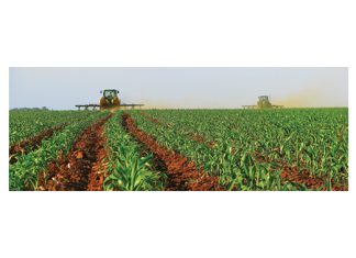 Hoe lank bly plaagdoders gevaarlik?