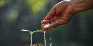 StewardshipHow non-compliance could cost you in the long run